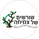 Shimi R. profile picture